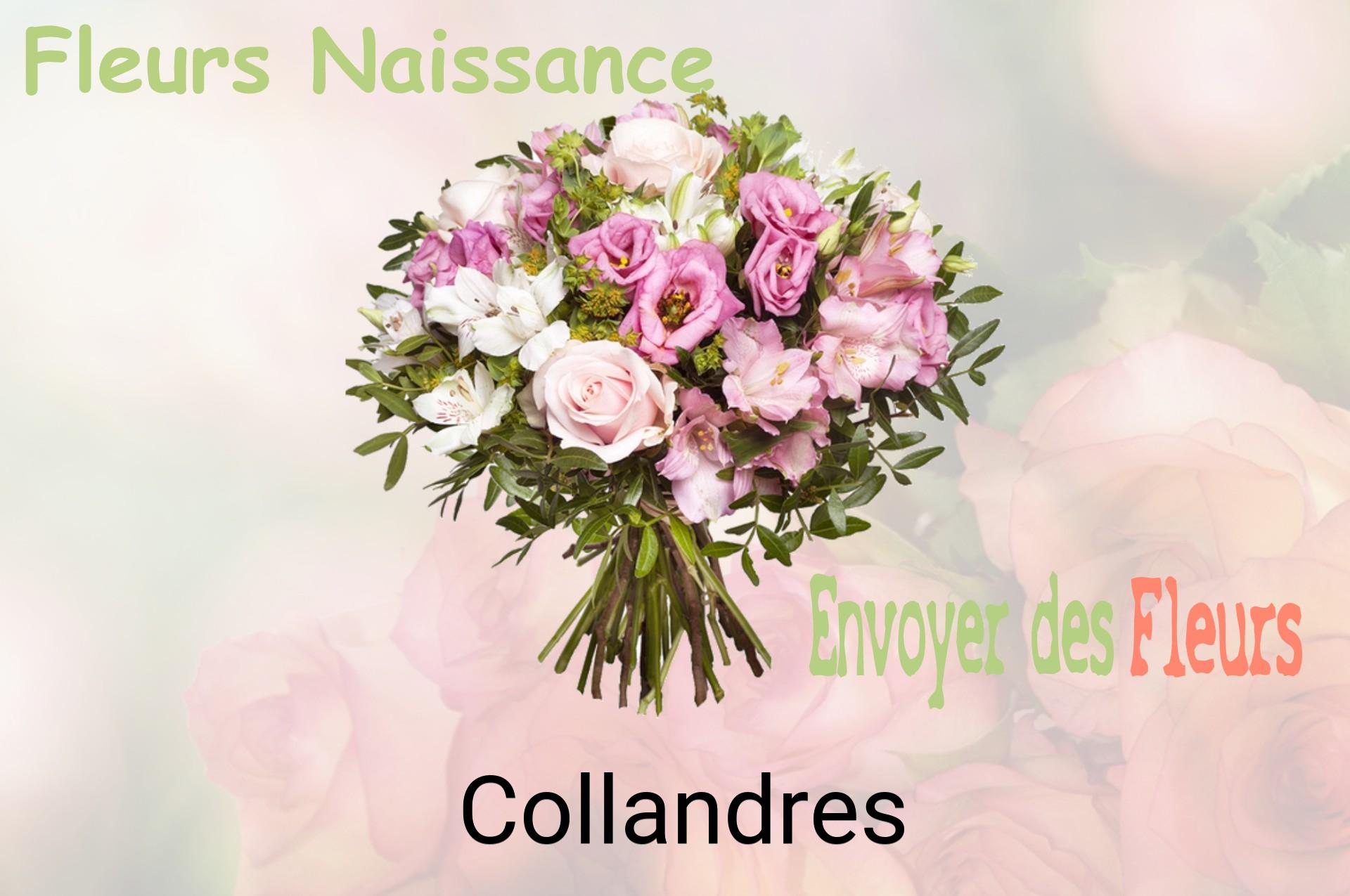 Bouquet de fleurs de naissance livré à Collandres