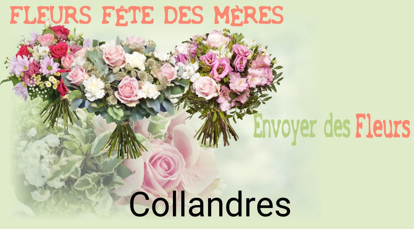 Bouquet de Fête des Mères livré à Collandres